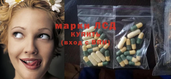 гидропоника Алзамай