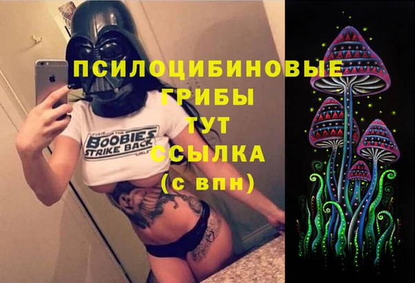 винт Алексин