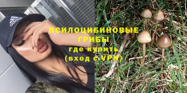 гидропоника Алзамай