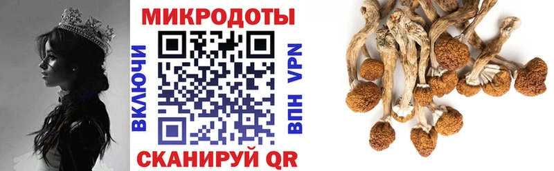 Галлюциногенные грибы прущие грибы blacksprut ССЫЛКА Дрезна